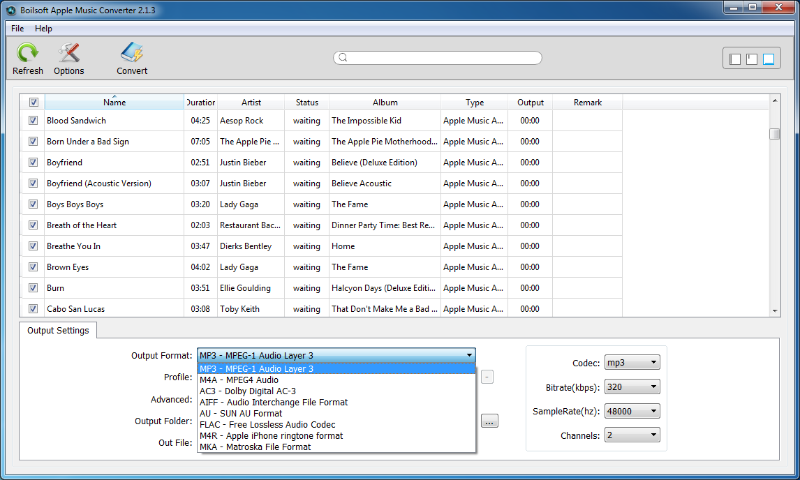 Apple Music Converter output format