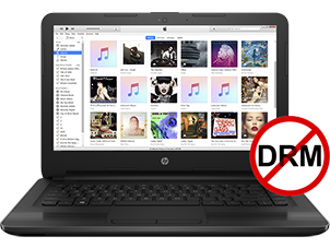 remove iTunes DRM