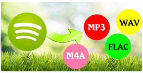 Spotify Music Converter